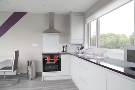 The Rise, Dublin - Photo 5