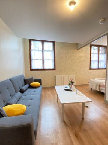 QUARTIER DE LA BOUCHERIE, Magnifique studio refait à neuf de 25m² ! - Photo 5