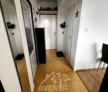 Pronájem bytu 3+kk 42 m² - Photo 4