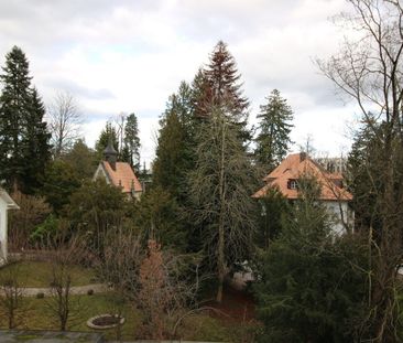 Charmantes 1½-Zimmer-Wohnung umgeben von viel Grün, nur wenige Schr... - Photo 3