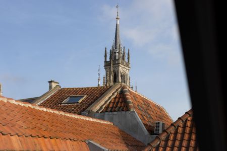 Elegant City Apartment in the Heart of Gouda - Photo 5