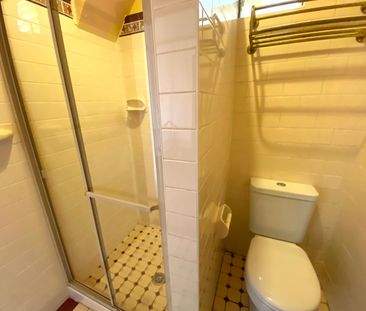 1/160 Smith Street, Summer Hill NSW 2130 - Studio For Rent | Domain - Photo 4