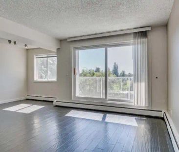 3 Bedroom 1.5 Bath with insuite laundry and open concept kitchen | ... - Photo 1