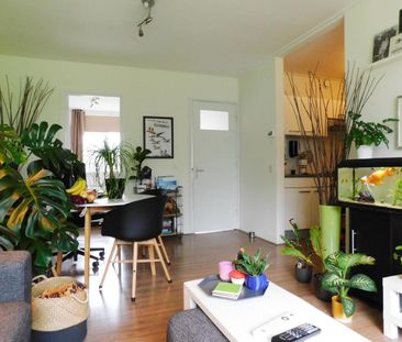 Piet Heinlaan, 2341SN, Oegstgeest - Foto 1