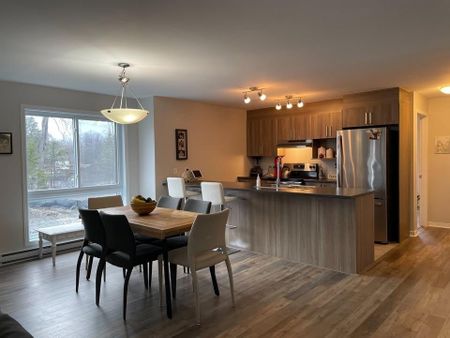 Appartement à louer - Gatineau (Aylmer) (Lakeview) Appartement à louer - Gatineau (Aylmer) (Lakeview) - Photo 2