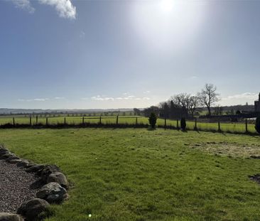 3 bedroom bungalow to rent - Photo 6