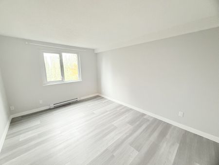 Updated and Bright Corner Unit Two Bedroom in Convenient Lougheed Area - Photo 3