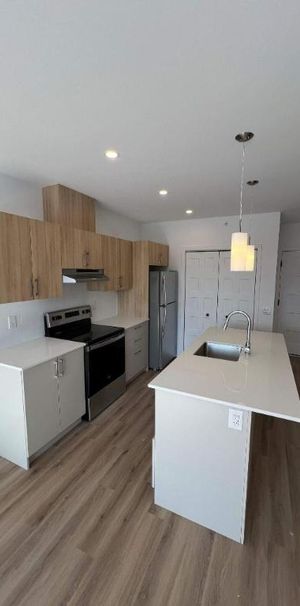 Neuf 3 1/2, électros et internet inclus! 6180 Vanier - Photo 1