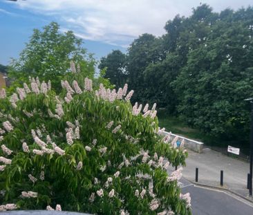 Room in a Shared Flat, Seeley Drive, SE21 - Photo 3