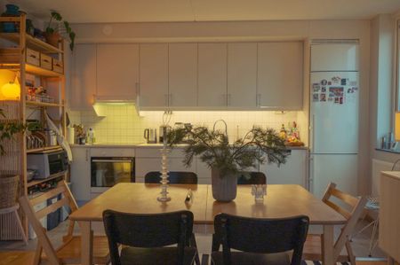 Doktor Dahlströms Gata, Göteborg - Foto 4