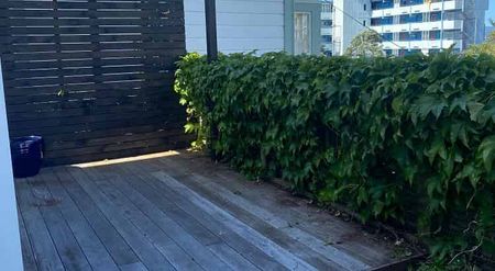 Charming 2BR Aro Valley Retreat - Photo 4