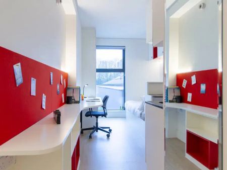 Premium Studio - Photo 4