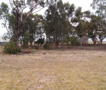Tullamarine - Photo 6