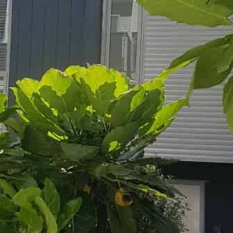 A MUST see Townhouse - Photo 1