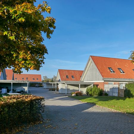 Attraktiv lejebolig i Horsens - Photo 3