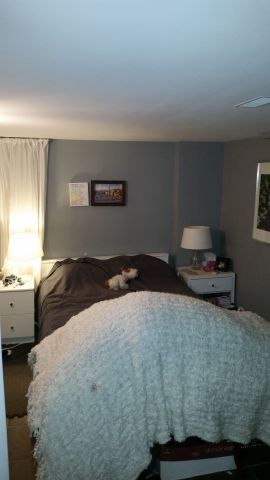 For Lease - 23 Lumbervale Avenue Unit# Lower, Toronto, Ontario - Photo 5