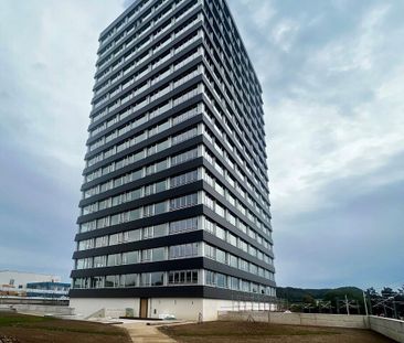 1 mois de vie gratuite - Vie exceptionnelle Rhyfalltower - Foto 3