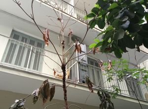 Διαμέρισμα για ενοικίαση - Κολωνάκι - Λυκαβηττός, - Photo 5