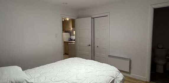 3 Et Demi Semi-meuble Ste Foy - Photo 2