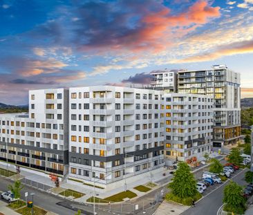 115/34 Oakden Street, Greenway ACT 2900 - Apartment For Rent | Domain - Photo 4