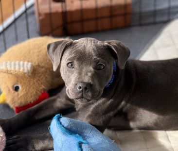 Noble Park - Photo 2