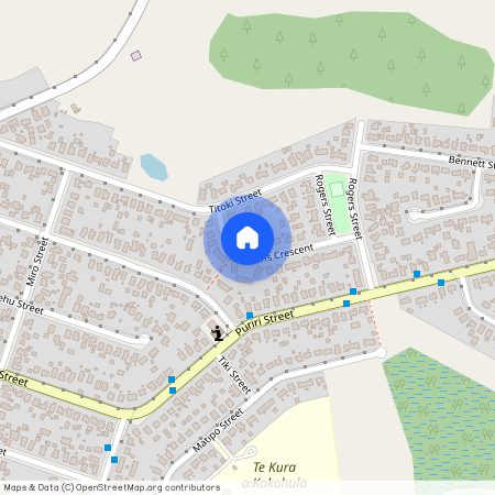 21 Gibbons Crescent, Castlecliff, Whanganui