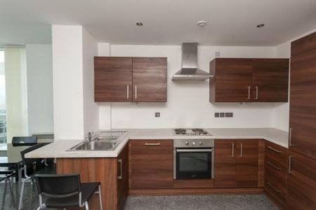 7-05 The Obel, 62 Donegall Quay, Belfast City Centre, Belfast, BT1 3NG - Photo 3