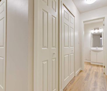 Renovated Suite - 1 Bedroom - Photo 2
