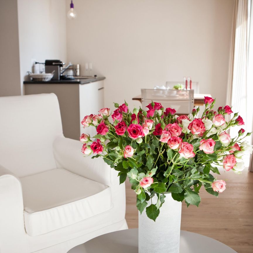 Charmant Studio rénové et meublé avec coin terrasse privatif Saint-Livres (VD) - Photo 1