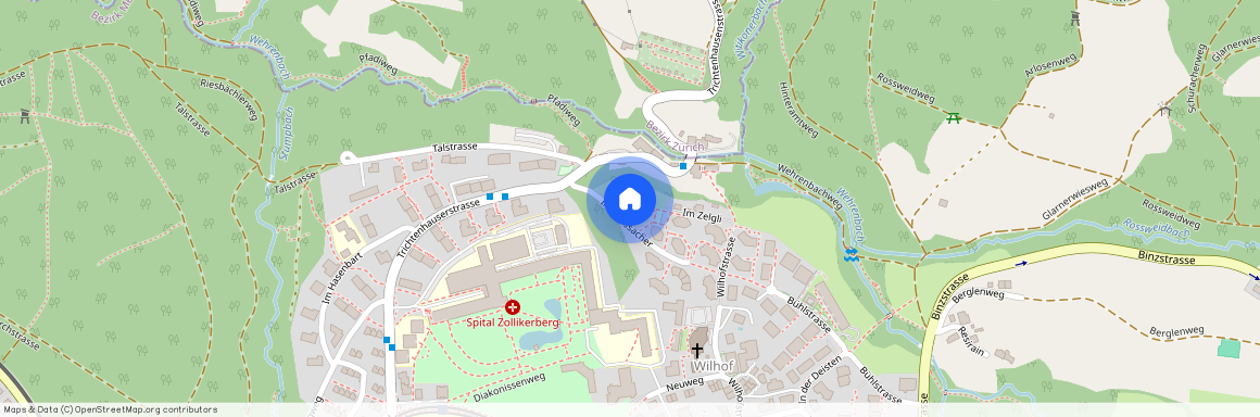 Im Grossacher 1, 8125, Zollikerberg