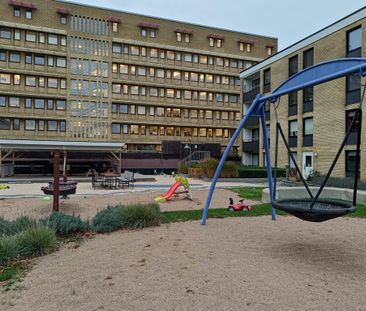 Norregatan, Malmö - Photo 6