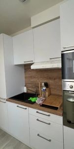 Appartement à louer 1 pièce - Photo 3