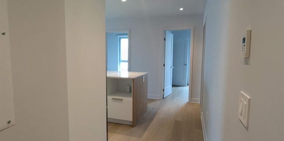 3 CH - 2 SDB - Montreal - $2,750 /mo - Photo 3