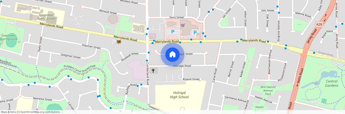 24 ROYCE STREET, NSW 2145, Greystanes