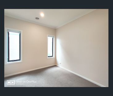 High Quality 4 Bedroom 2 Living Area House! - Photo 4