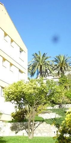 Location Appartement - Vence - Photo 2