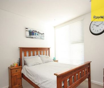 Sun-Drenched East Facing Penthouse - Photo 6