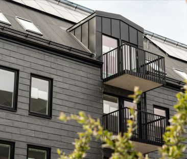 Malcusgatan, Halmstad - Photo 4