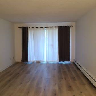 1 bedroom 1 bathroom beautiful cozy apartment for rent Burnaby - Photo 1