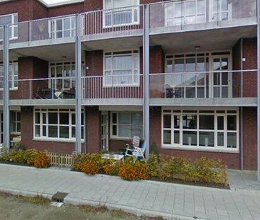 Apartment Sint-Maartensdijk - Prins Frisohof - Foto 1