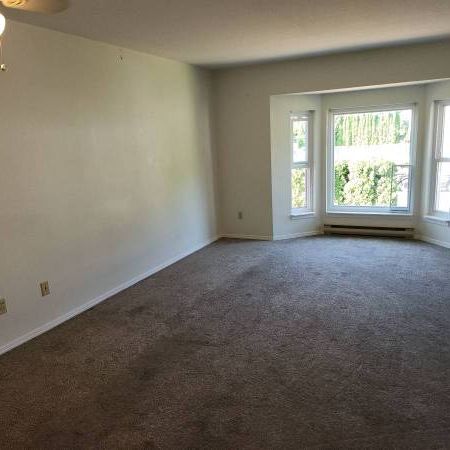 Top Floor - Large 2 Bedroom - Available Now - Photo 3