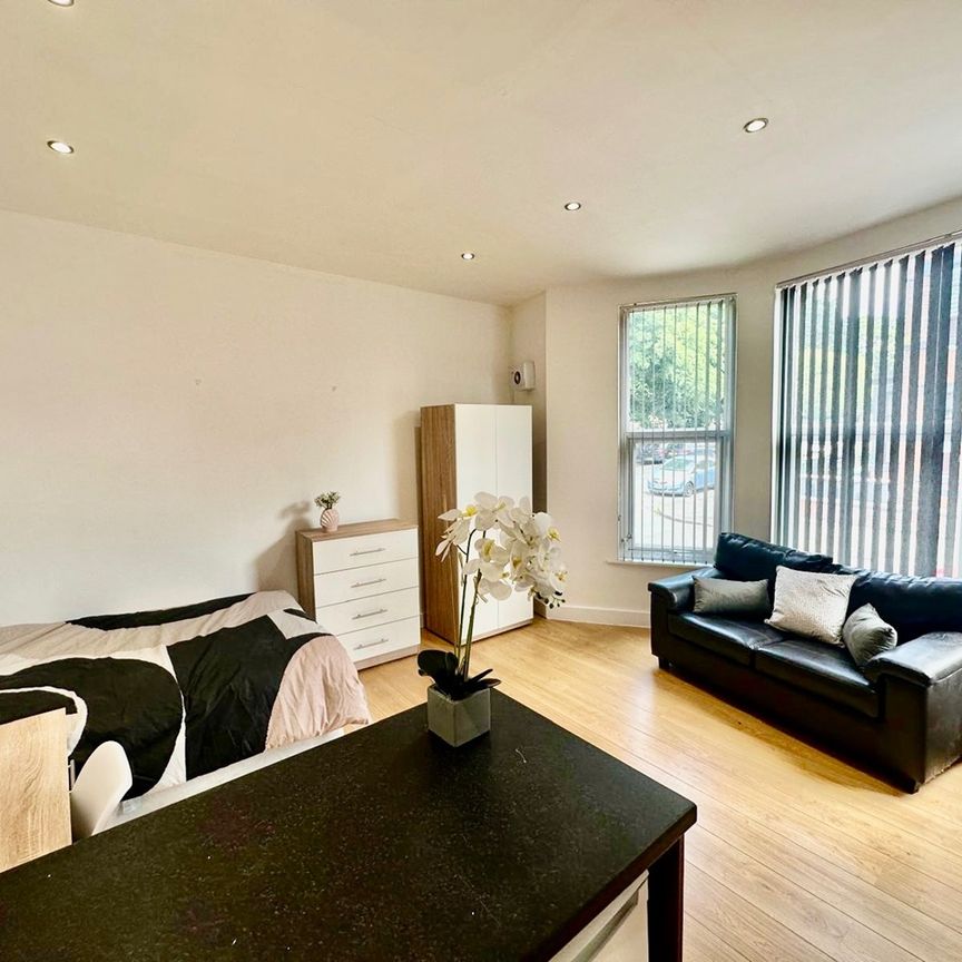 Bedsit, Norwood Terrace, LS6 - Photo 1