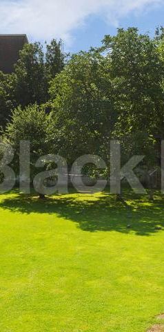 Very large one bedroom property with high ceilings located close to Tufnell Park - Photo 2