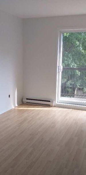 POINTE AUX TREMBRES 4 1/2 LIBRE 1ER JANVIER 2026 - Photo 1