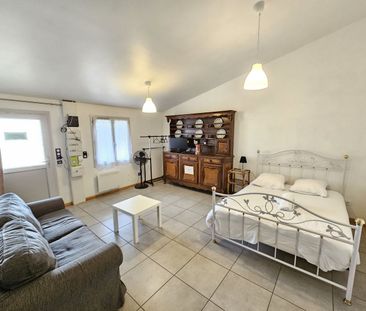 Location Appartement 2 pièces 55m² CHALAMONT 01320 - Photo 3