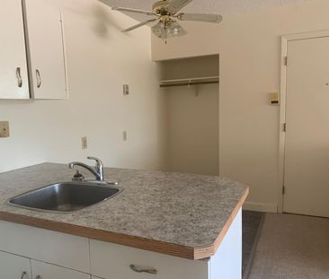 1 Bedroom Pet Friendly Apartments at Bridgeview!! - Photo 4