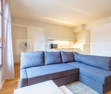 MENTHON SAINT BERNARD - APPARTEMENT 2 PIECES MEUBLE - 42.14 m2 - Photo 4