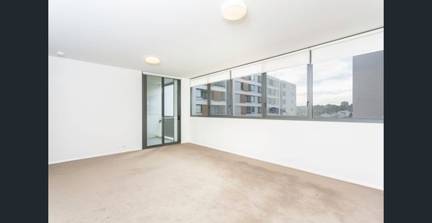 Over sized one bedroom apartment - Photo 1