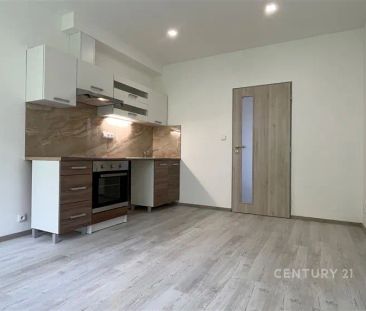 Pronájem, byt 1+kk, 25 m - Fotografie 2