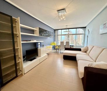 RENOVATED STUDIO FOR RENT IN TORREVIEJA - ALICANTE PROVINCE - Photo 2